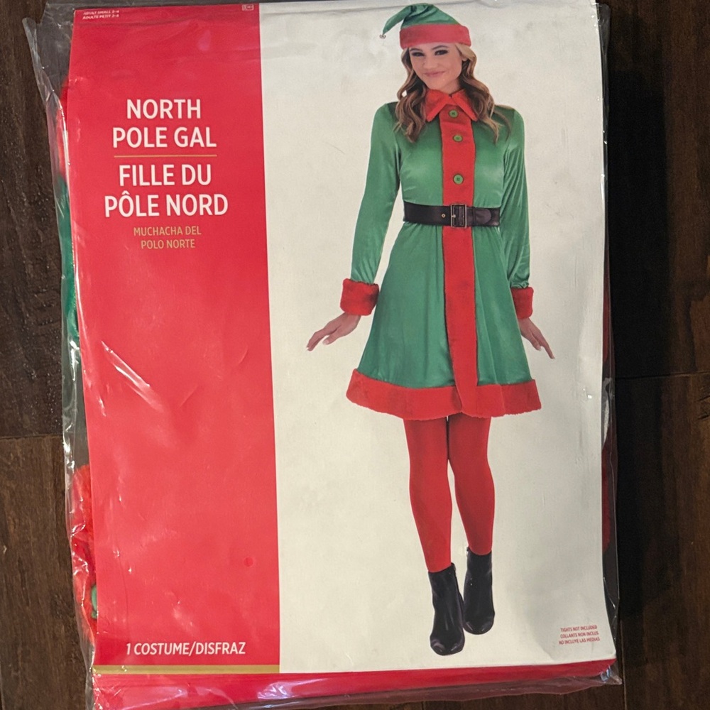 North Pole Gal Costume